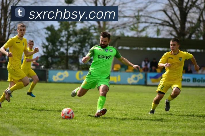 爱游戏平台生态图