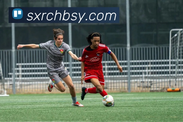 爱游戏APP 封面图